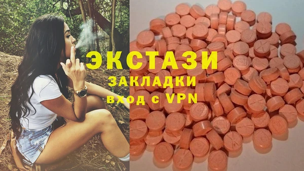 apvp Снежногорск