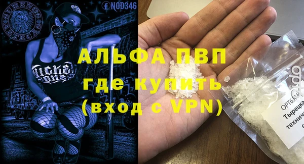 крисы Белокуриха