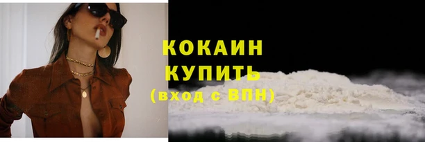 крисы Белокуриха