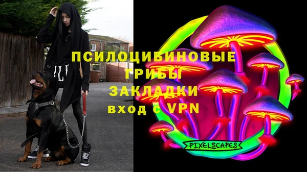 гашик Белоозёрский