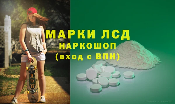 PSILOCYBIN Баксан