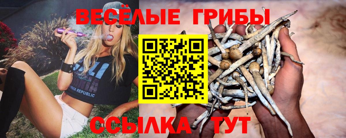 Галлюциногенные грибы прущие грибы Саяногорск